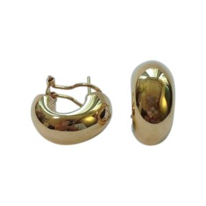 Juliet Hoops Earrings
