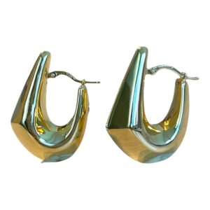 Levi Hoops