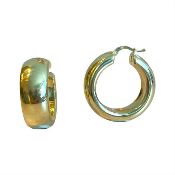 Hoop Earrings