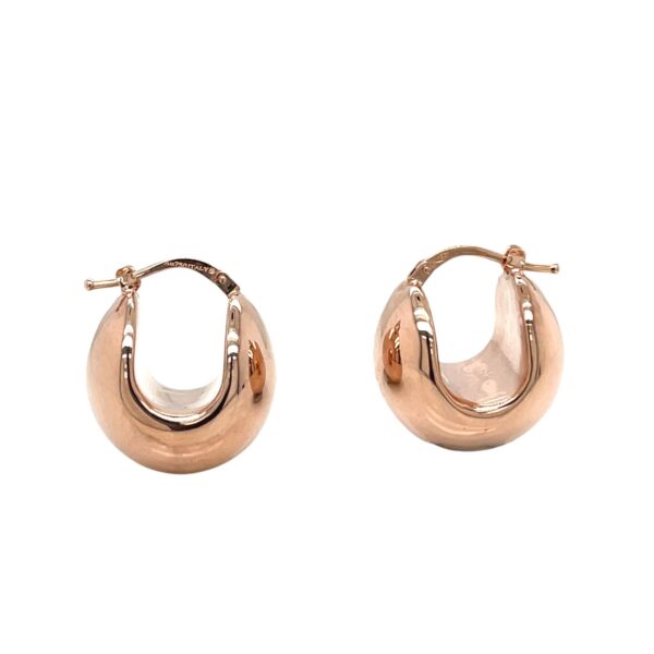 Hoop Earrings